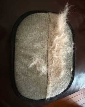 Peg review image